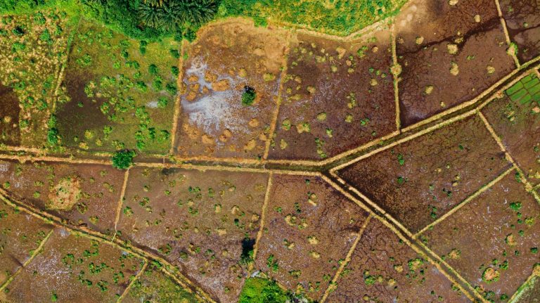 Getting Cheap / Low Cost Plots Of Land (50×100, 50×50) For Sale In Maya On Masaka Road