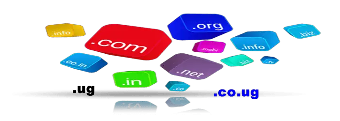 How To Register A Domain Name In Uganda By Yourself